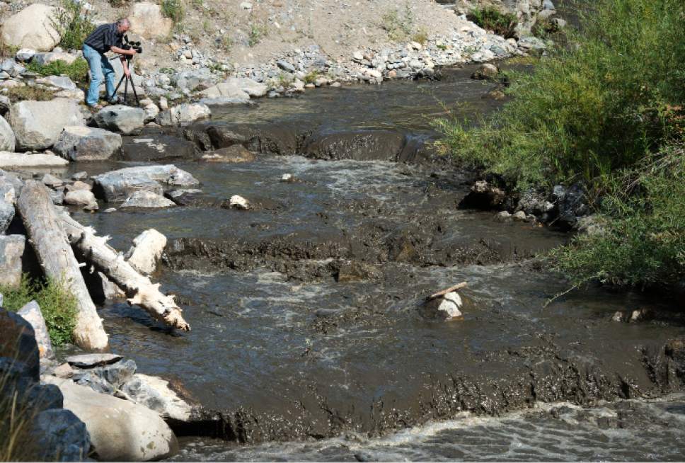Steve Griffin / The Salt Lake Tribune

Mark Allen, of the American Fork Canyon Alliance, shoots video of the American Fork River as it runs black with silt in American Fork Canyon in American Fork, Utah Monday August 22, 2016. The river picked up the silt after running through the drained Tibble Fork Reservoir. The reservoir has been emptied because of the Tibble Fork Dam Rehabilitation Project.