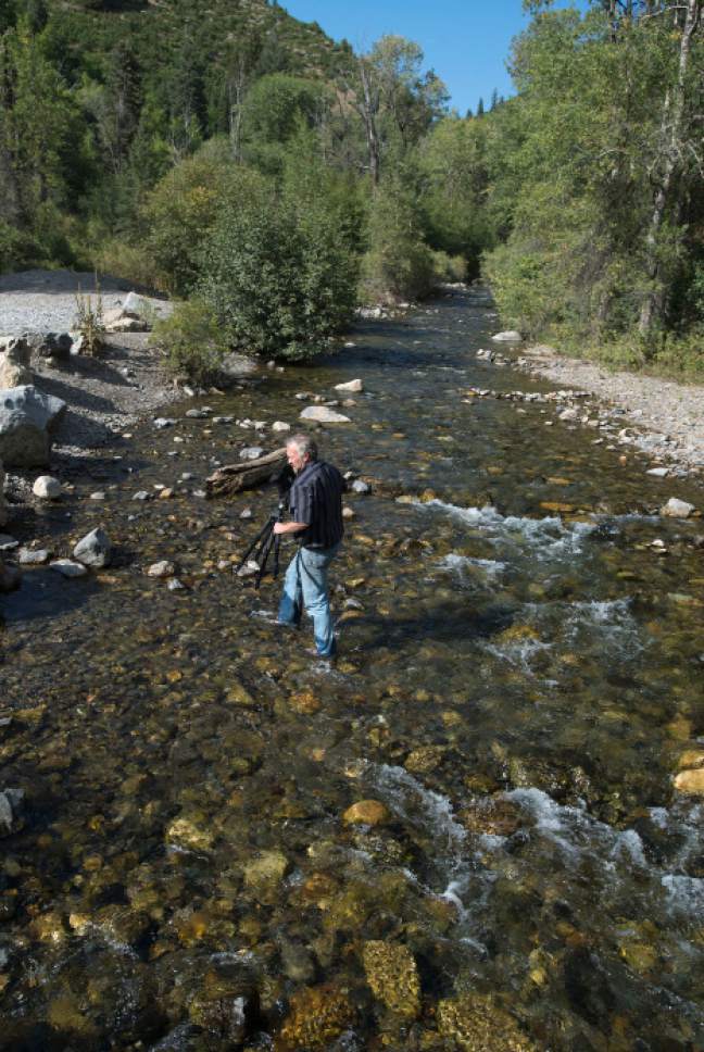 Steve Griffin / The Salt Lake Tribune

Mark Allen, of the American Fork Canyon Alliance, shoots video of the American Fork River as it runs into Tibble Fork Reservoir in American Fork Canyon Monday August 22, 2016. The river, which runs through the drained Tibble Fork Reservoir, was running black with silt after passing through Tibble Fork Dam Rehabilitation Project.