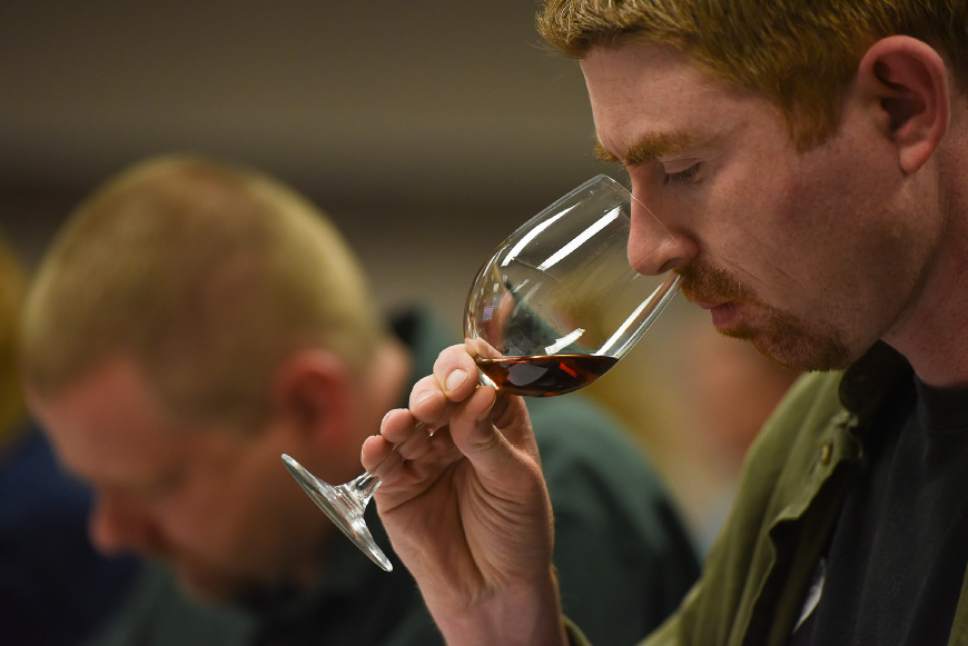 Francisco Kjolseth  |  The Salt Lake Tribune
Matt Rees, an employee of a liquor store in Park City, lets his nose take in the aroma of a wine during a recent wine training class sponsored by the DABC. The Utah Department of Alcoholic Beverage Control got funding from the 2016 legislature for the training, something the public has been demanding for many years.