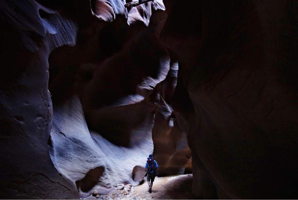 Lennie Mahler  |  The Salt Lake Tribune

Peter Wagner walks through clay and water as sunlight peeks into the narrows of Buckskin Gulch on Sunday, Sept. 25, 2016.