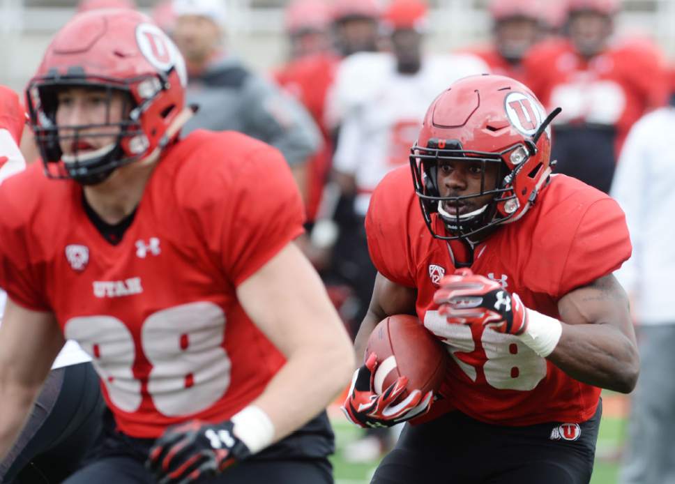Steve Griffin  |  The Salt Lake Tribune


Utah running back Joe Williams looks for an opening  during spring football practice at Rice-Eccles Stadium in Salt Lake City, Tuesday, March 29, 2016.