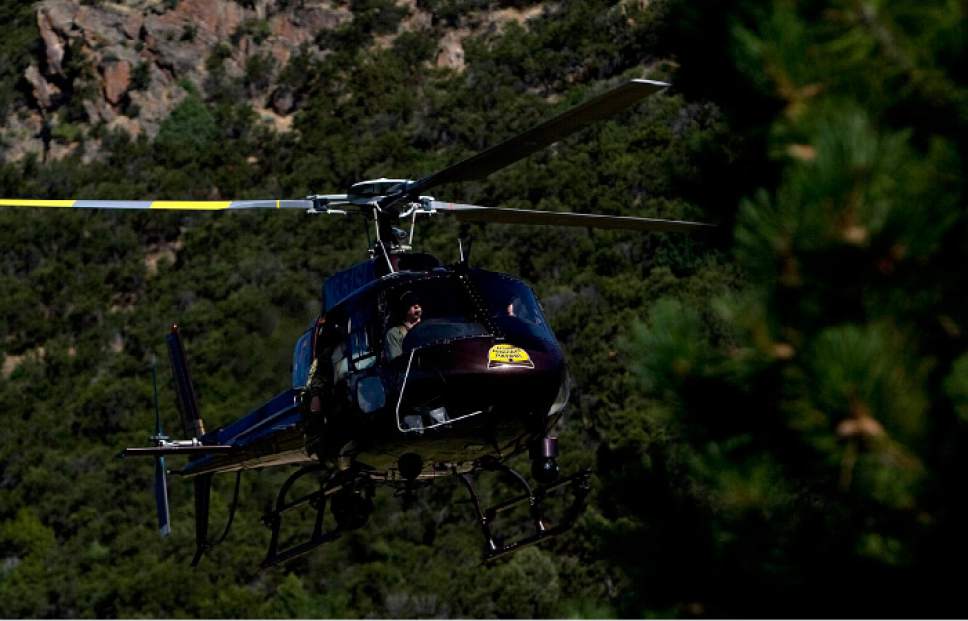 Tribune file photo
A Utah Highway Patrol helicopter flies over the mountains as law enforcement officials remove marijuana plants grown illegally in the Fish Lake National Forest near Beaver, Utah, on Thursday, Aug. 18, 2011. Several agencies were involved in the operation that yielded several thousand plants. No growers were arrested.