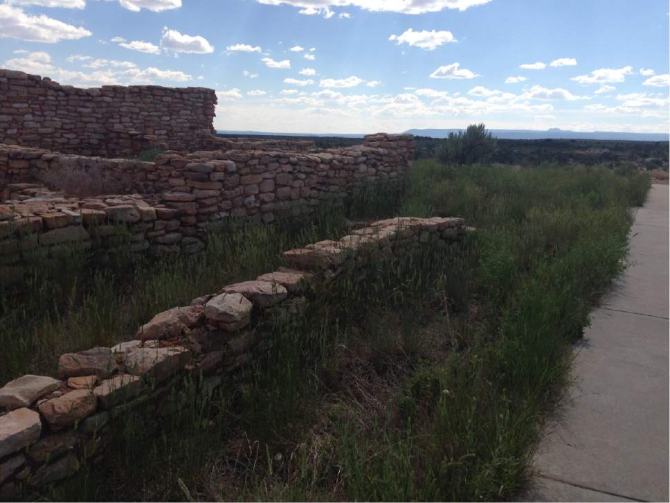 Erin Alberty  |  The Salt Lake Tribune

Ruins of an ancestral Puebloan dwelling rise from the grass at Edge of the Cedars State Park on June 11, 2016 in Blanding.