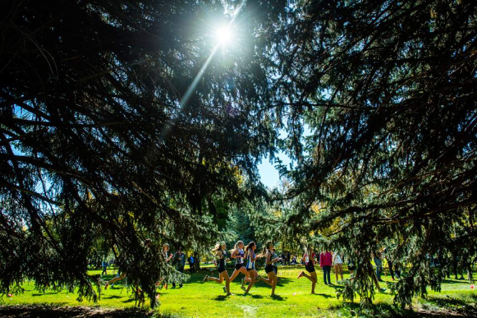 Chris Detrick  |  The Salt Lake Tribune
Runners in the 5A division compete during the UHSAA State Cross Country Championships at Sugar House Park Wednesday October 19, 2016.