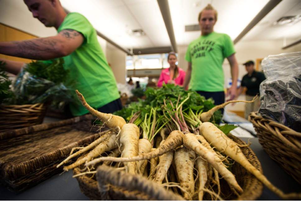 Steve Griffin  |  The Salt Lake Tribune
The Salt Lake County Jail Horticulture Program sets up a modified farmers market for senior citizens at the Liberty  Active Aging Center in Salt Lake City Monday October 24, 2016. The Jail Horticulture Program has been donating their harvest to every active aging center at least once throughout the season. This year's harvest has been so bountiful they are making another round of visits. The Salt Lake County Jail Horticulture Program collaborates with the Salt Lake County Active Aging Center, Green Urban Lunchbox and U.S.U. Extension Program for the event. The jail's garden is about two acres and is located behind the jail on 900 west and 3300 south.