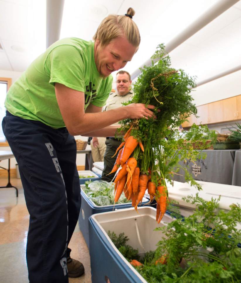 Steve Griffin / The Salt Lake Tribune


Salt Lake County Jail inmate Alex Harward smiles as he grabs a beautiful bunch of carrots as the Salt Lake County Jail Horticulture Program sets up a modified farmers market for senior citizens at the Liberty Active Aging Center in Salt Lake City Monday October 24, 2016. The Jail Horticulture Program has been donating their harvest to every active aging center at least once throughout the season. This year's harvest has been so bountiful they are making another round of visits. The Salt Lake County Jail Horticulture Program collaborates with the Salt Lake County Active Aging Center, Green Urban Lunchbox and U.S.U. Extension Program for the event. The jail's garden is about two acres and is located behind the jail on 900 west and 3300 south.