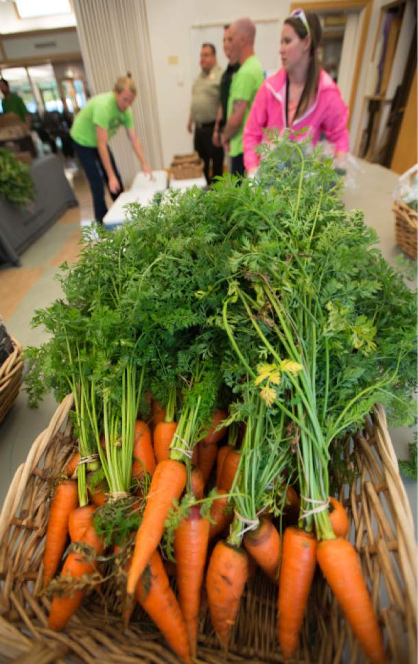 Steve Griffin / The Salt Lake Tribune


The Salt Lake County Jail Horticulture Program sets up a modified farmers market for senior citizens at the Liberty  Active Aging Center in Salt Lake City Monday October 24, 2016. The Jail Horticulture Program has been donating their harvest to every active aging center at least once throughout the season. This year's harvest has been so bountiful they are making another round of visits. The Salt Lake County Jail Horticulture Program collaborates with the Salt Lake County Active Aging Center, Green Urban Lunchbox and U.S.U. Extension Program for the event. The jail's garden is about two acres and is located behind the jail on 900 west and 3300 south.