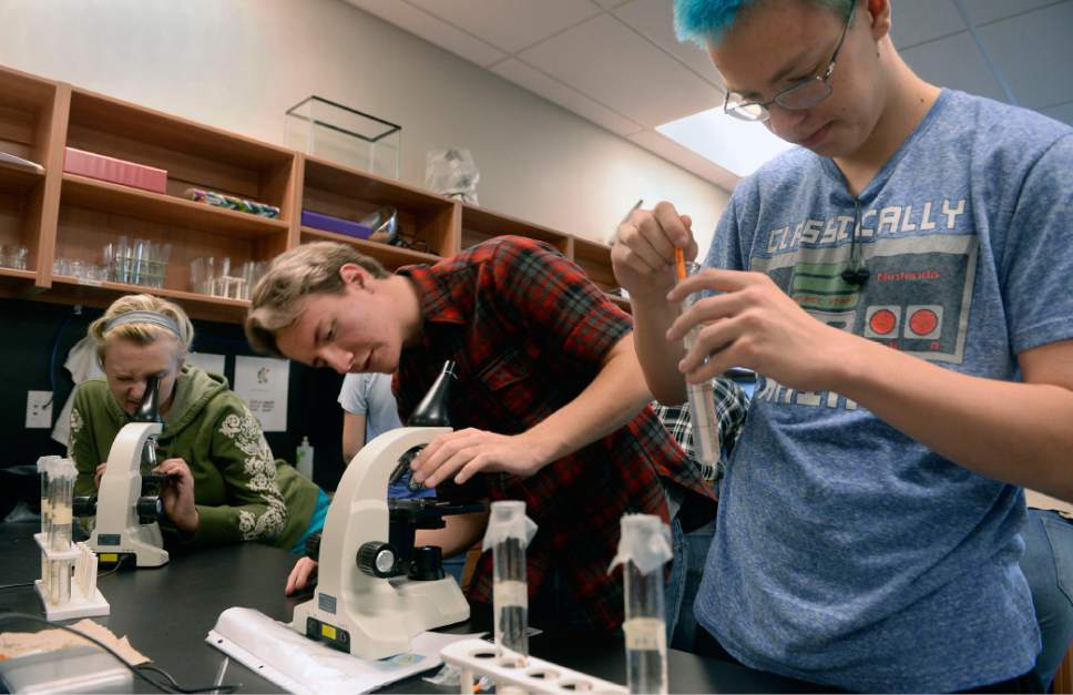 Al Hartmann  |  The Salt Lake Tribune
Eleventh graders Molly Kade, Alex Dance and Luke Kleinman make glass slides to count Paramecium through microscopes, part of a national science competition in biology class Wednesday October 26 at Salt Lake Center for Science Education. 
New test scores from the National Assessment of Educational Progress show Utah students leading the nation in science.