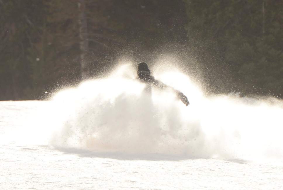 Rick Egan | The Salt Lake Tribune

A snowboarders makes some turns at Brighton Ski Resort, Thursday, November 19, 2015. Other resorts open this weekend. Alta, Snowbird, and Solitude ski resorts open this weekend.