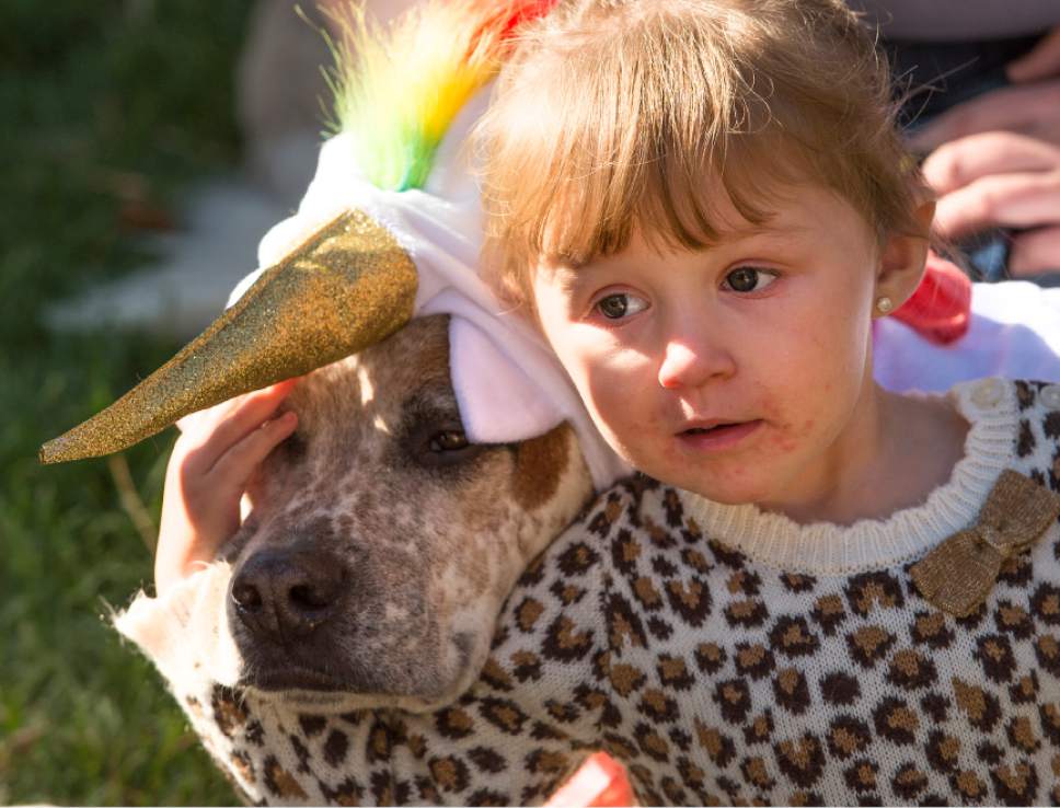 Leah Hogsten  |  The Salt Lake Tribune
Payton Chappelle snuggles with her dog Rooster Cogburn while watching the dog costume contest show at Best Friends Animal Society's Strut Your Mutt annual charity walk that brings together four- and two-legged participants of all ages to raise money toward saving the lives of homeless pets.