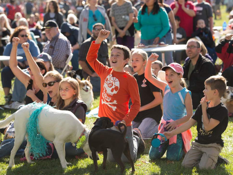 Leah Hogsten  |  The Salt Lake Tribune
The crowd cheers for the best costumed dog at Best Friends Animal Society's Strut Your Mutt annual charity walk that brings together four- and two-legged participants of all ages to raise money toward saving the lives of homeless pets.