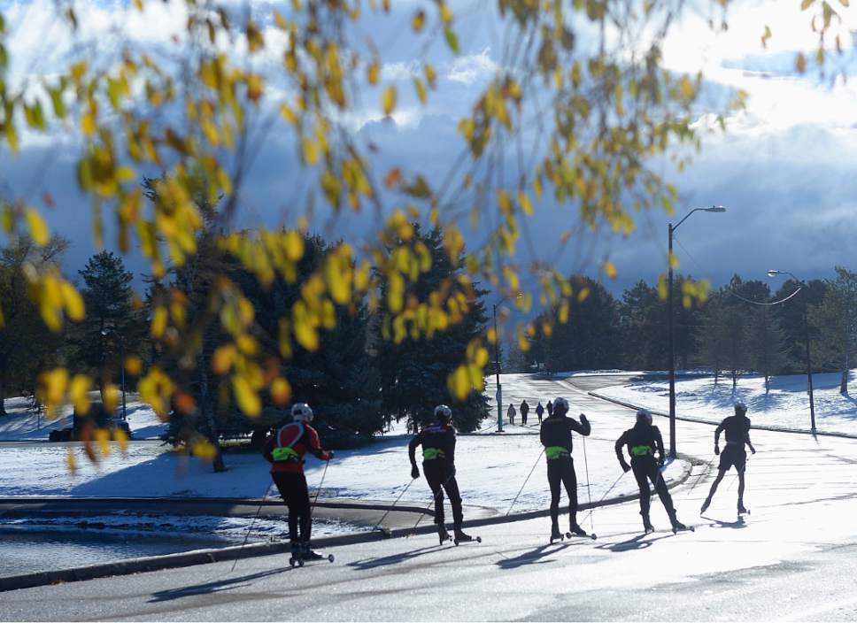 Al Hartmann  |  The Salt Lake Tribune
Members of the University of Utah Nordic team train on dry land skis in Sugarhouse Park on Thursday morning. With today's first small snow they are probably wishing for the real thing.
