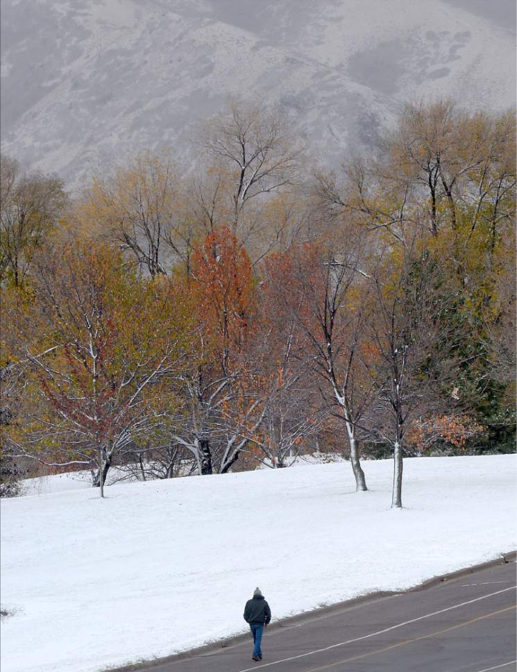 Al Hartmann  |  The Salt Lake Tribune
Man walks after the first snow of the season in Sugarhouse Park Thursday morning Nov. 17 as the last of the fall leaves still hang on the trees.