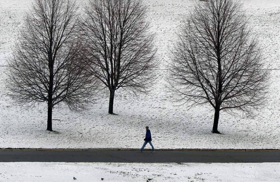 Al Hartmann  |  The Salt Lake Tribune
Man walks after the first snow of the season in Sugarhouse Park Thursday morning Nov. 17.  It stuck to the grass but not to the still warm pavement.