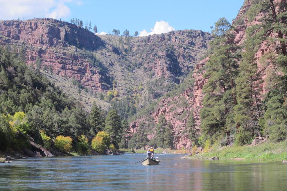 |  Tribune File Photo

A drift boat floats the upper section of the Green River below Flaming Gorge Reservoir in Daggett County. The county has proposed the river be designated as scenic under the Wild and Scenic Rivers Act as part of Rep. Rob Bishopís Public Lands Initiative.