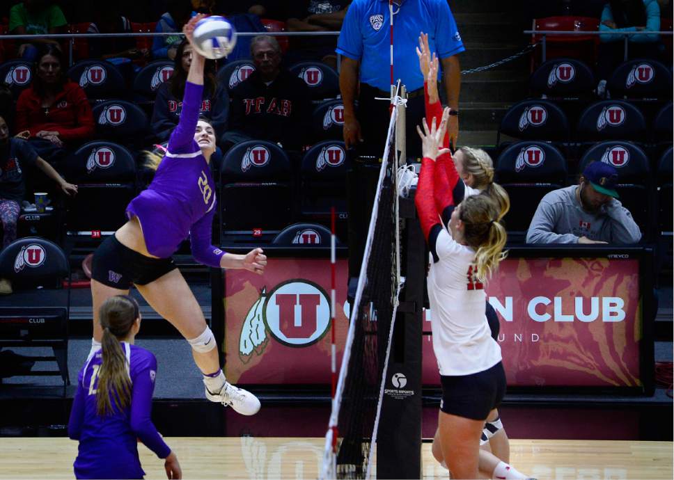 Scott Sommerdorf   |  The Salt Lake Tribune  
Washington's Tia Scambray spikes the point for No. 8 Washington as they defeated Utah 3-1, Sunday November 19, 2016.