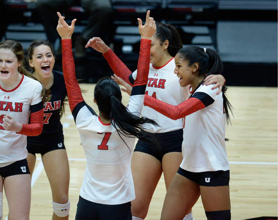 Scott Sommerdorf   |  The Salt Lake Tribune  
Utah celebrates a point during their second game win, but No. 8 Washington defeated Utah 3-1, Sunday November 19, 2016.