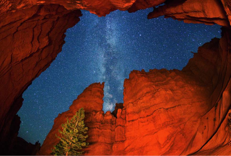 Courtesy  |  Royce Bair

The stars above Bryce Canyon National Park are on full display in this photograph of the park's Wall Street by Salt Lake City photographer Royce Bair. Specializing in NightScape photography, Bair frequently posts his and other photographers' landscape images on social media.