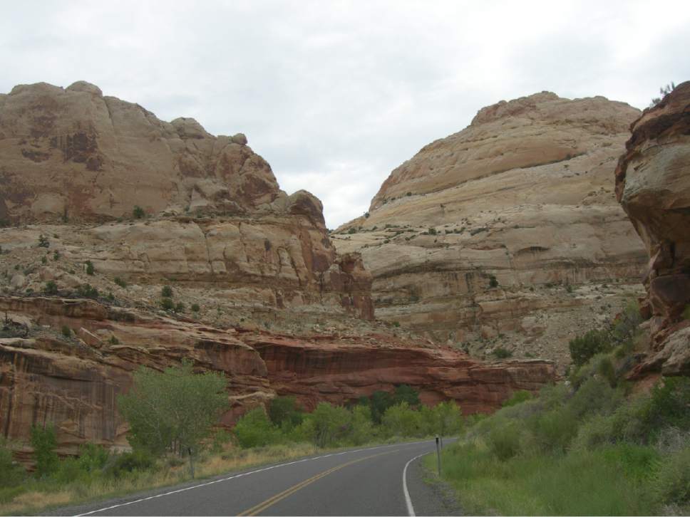 Jimmy Emerson  |  Courtesy

A road winding through Capitol Reef National Park.