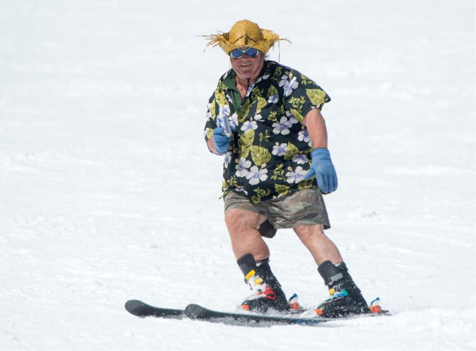 Rick Egan  |  The Salt Lake Tribune

Crazy George Pappas makes his way down the slopes on a sunny spring afternoon, Wednesday, April 6, 2016.