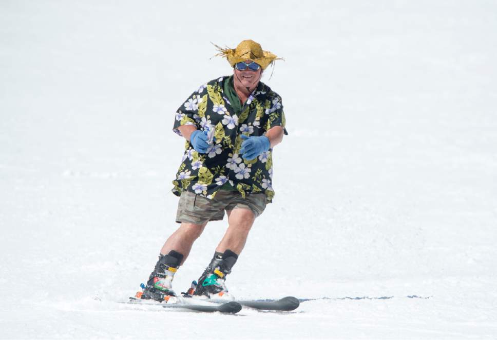 Rick Egan  |  The Salt Lake Tribune

Crazy George Pappas makes his way down the slopes on a sunny spring afternoon, Wednesday, April 6, 2016.