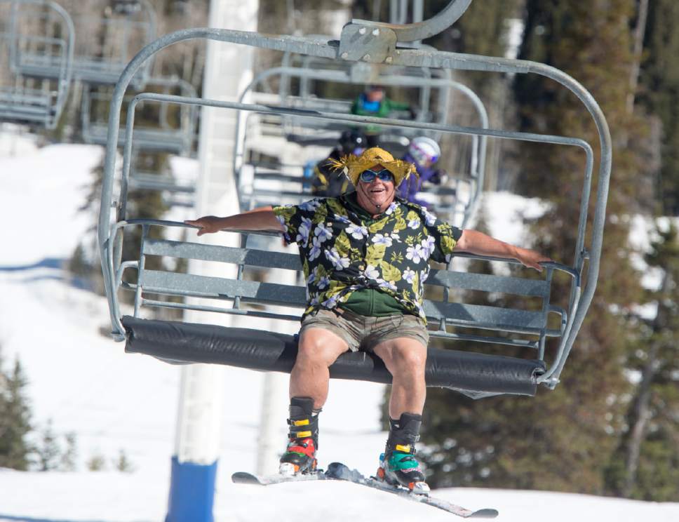 Rick Egan  |  The Salt Lake Tribune
Crazy George skies his 121st day of the ski season, Wednesday, April 6, 2016.