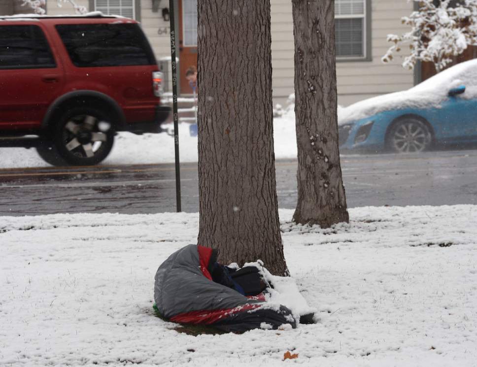Al Hartmann  |  The Salt Lake Tribune
Homeless person hunkers down in his sleeping bag in Liberty Park during wet snowstorm Monday Nov. 28 in Salt Lake City.