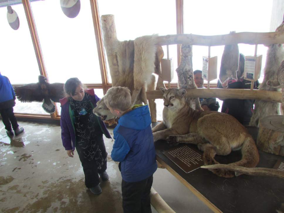 Tom Wharton  |  The Salt Lake Tribune

Elementary school kids from Ogden experience Hardware Ranch visitor center.