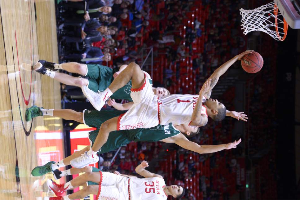 Leah Hogsten  |  The Salt Lake Tribune
Utah Utes guard JoJo Zamora (1) had 17 points and was 8 for 8 on free throws . University of Utah defeated Utah Valley University 87-80 during their non-conference game Tuesday, December 6, 2016 at the Jon M. Huntsman Center.