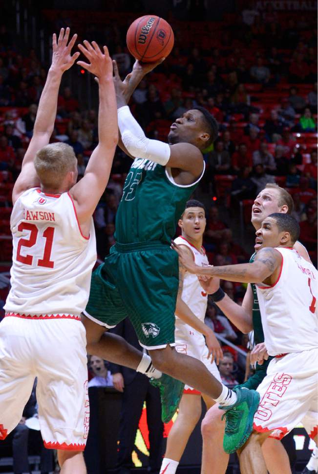 Leah Hogsten  |  The Salt Lake Tribune
Utah Valley Wolverines guard Brandon Randolph (23) had 14 points in the game. University of Utah defeated Utah Valley University 87-80 during their non-conference game Tuesday, December 6, 2016 at the Jon M. Huntsman Center.
