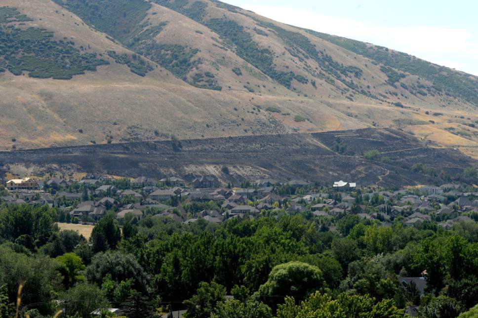 Al Hartmann  |  The Salt Lake Tribune 
Distant view of burned area just below the Corner Canyon horse trail and Highland Drive in Draper. Wed. Aug. 3.  The fast moving grass fire burned 45 acres last night and forced 39 families from their homes.  They returned Wednesday afternoon.