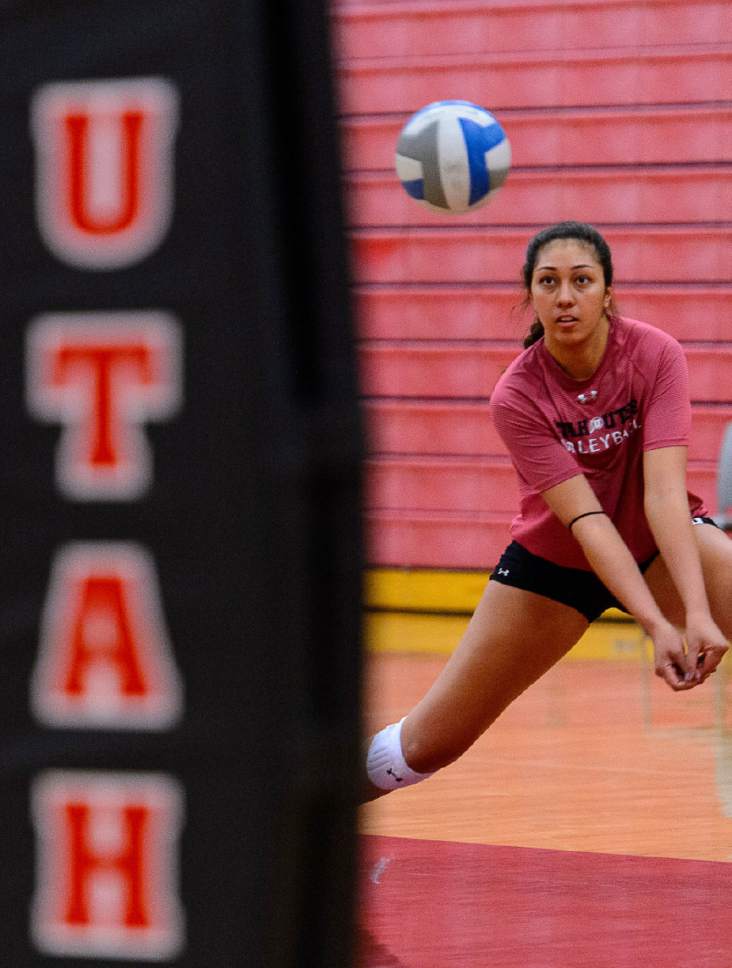 Trent Nelson  |  The Salt Lake Tribune
Adora Anae is a steadily rising star for the University of Utah volleyball team. Anae was photographed at practice on the Crimson Court in Salt Lake City, Wednesday September 28, 2016.