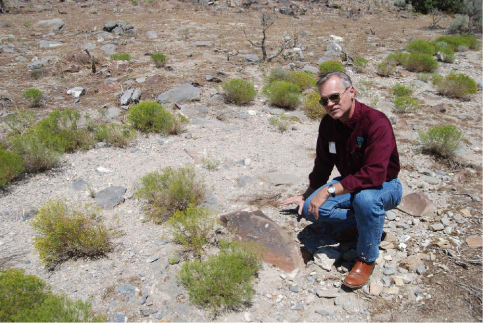 Brian Maffly  |  The Salt Lake Tribune 

Mike Sheehan, a BLM archaeologist, describes ancient petroglyphs at Utah's Lake Mountains that have been damaged by gunfire.