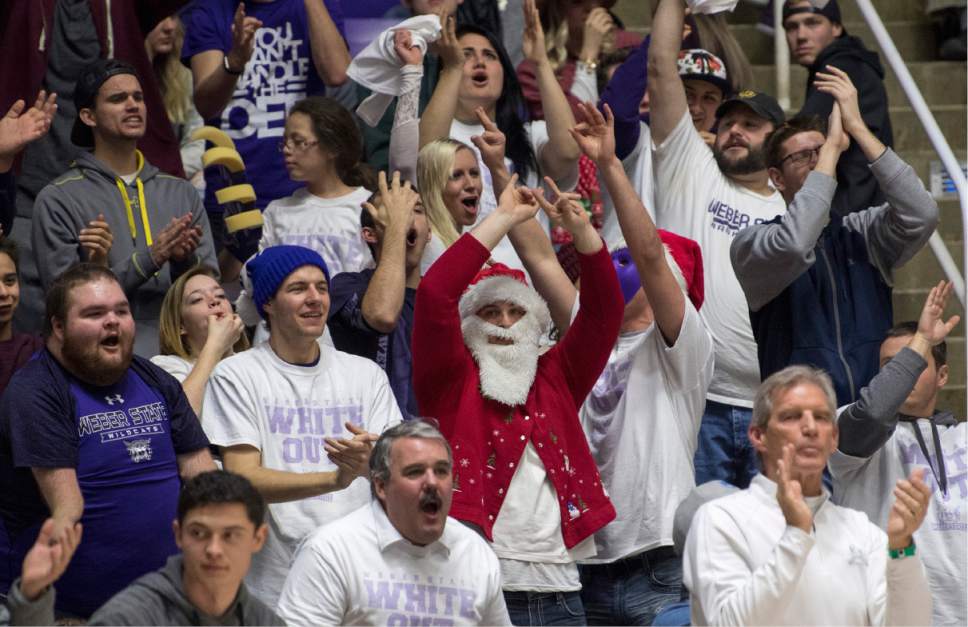 Rick Egan  |  The Salt Lake Tribune

Weber State fans cheer as the Wildcats extend their lead late in the game, in basketball action, Weber State Wildcats vs Utah Valley Wolverines, in Ogden, Saturday, December 17, 2016.