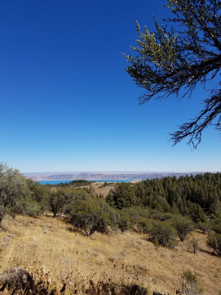 Jessica Miller  |  The Salt Lake Tribune

A view of Bear Lake can be seen in the distance as hikers meander the Limber Pine Nature Trail.