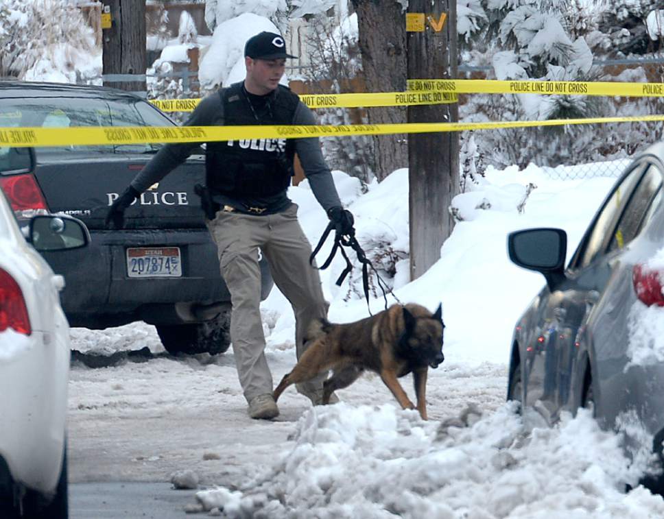 Al Hartmann  |  The Salt Lake Tribune
Salt Lake City Police investigate homicide scene at 300 East Browning Street in Salt Lake City Tuesday Dec. 27.  Shots were fired just after 11a.m. and a body was found in a car at the scene.  Police are on the lookout for two men believed to be involved in the shooting. They are still at large.