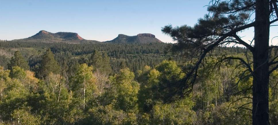 Al Hartmann  |  Tribune file photo
A view across the forested high country of Elk Ridge with the Bears Ears formation in the distance. Authorities are investigating a suspicious fire at a remote Bureau of Land Management station in the Bears Ears National Monument.