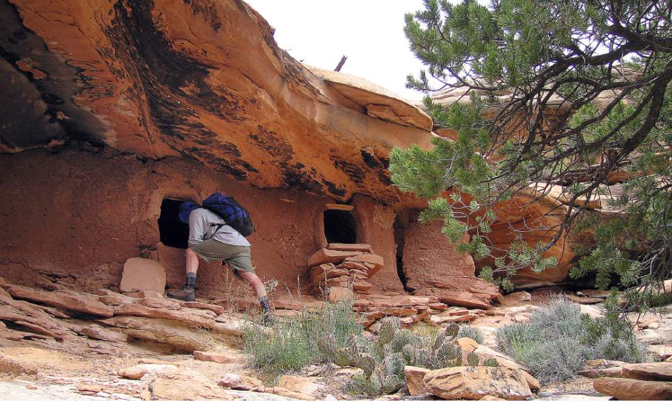 Al Hartmann  |  The Salt Lake Tribune 
Backpacker explores an Anasazi ruin under a sandstone alcove in a canyon on Cedar Mesa in San Juan County.  The area is included for a proposed Bears Ears National Monument.