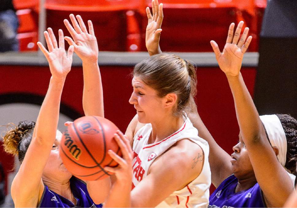 Trent Nelson  |  The Salt Lake Tribune
Utah Utes forward Emily Potter (12) defended by Weber State Wildcats guard Kailie Quinn (4) and forward Dominique Williams (24) as University of Utah hosts Weber State, NCAA women's basketball at the Huntsman Center in Salt Lake City, Saturday December 17, 2016.