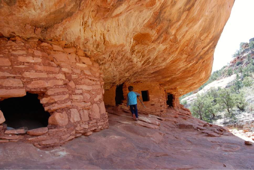 Brian Maffly  |  The Salt Lake Tribune

House on Fire ruin, located in South Mule Canyon on Cedar Mesa, is among up to 100,000 archaeological sites within the Bears Ears region.