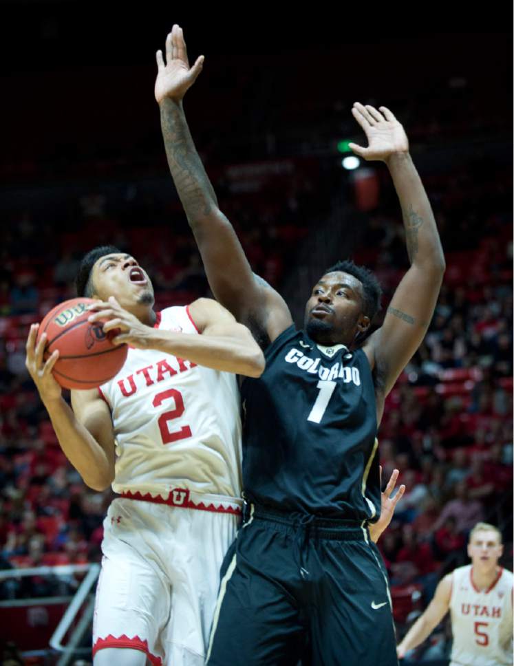 Lennie Mahler  |  The Salt Lake Tribune

Utah guard Sedrick Barefield shoots over Colorado's Wesley Gordon in the second half of a game against the Colorado Buffaloes on Sunday, Jan. 1, 2017, at the Huntsman Center in Salt Lake City.