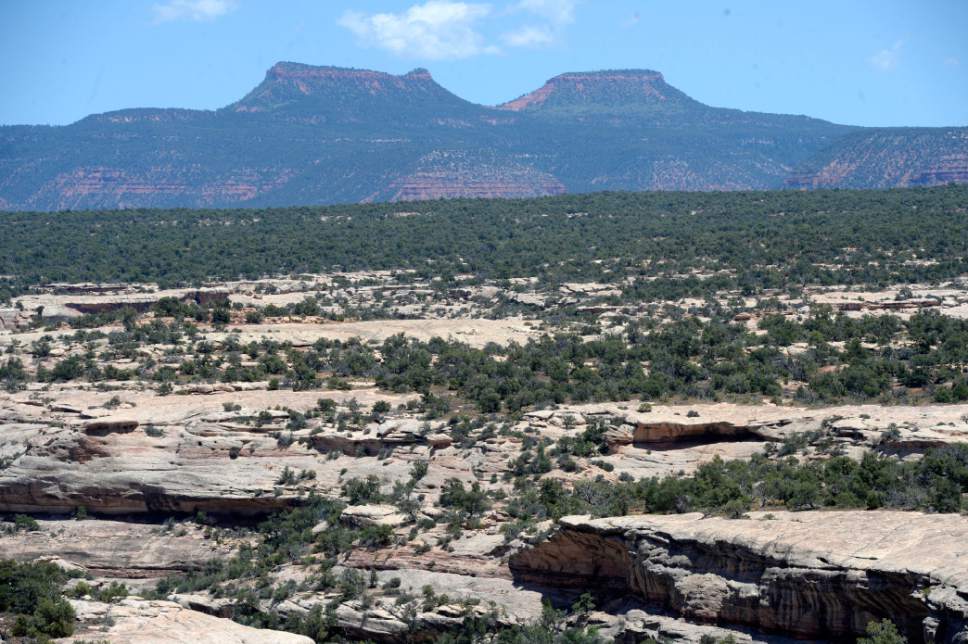 Al Hartmann  |   Tribune file photo
Bears Ears formation rises above White Canyon along US Highway 95 near Natural Bridges National Monument in San Juan County.  The formation is at the heart of the proposed Bears Ears national Monument.   Utah Senator Orrin Hatch and Gov. Gary Herbert met with San Juan County residents and many members of the Native American tribes in the area over the proposed Bears Ears National Monument.  The meeting was held at Natural Bridges National Monument Thursday June 2.