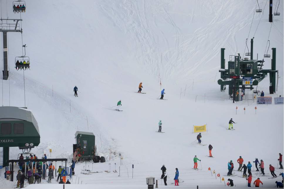 Scott Sommerdorf   |  The Salt Lake Tribune  
Skiers populate the area near the Wildcat lift at Alta, Sunday, January 1, 2017.