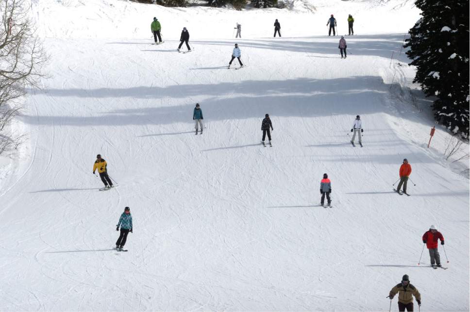 Scott Sommerdorf   |  The Salt Lake Tribune  
Skiers reach the bottom near the Sunnyside lift at Alta, Sunday, January 1, 2017.