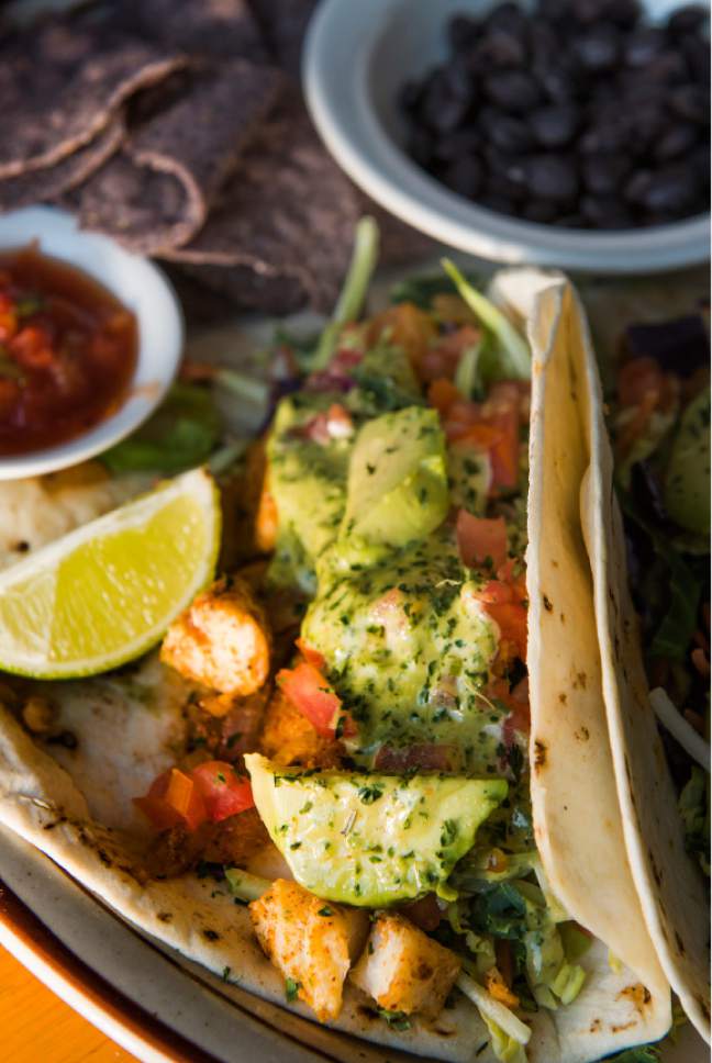 Leah Hogsten  |  The Salt Lake Tribune
Grilled halibut tacos with a creamy cilantro dressing, black beans, chips and salsa, $16,  at The Eating Establishment in Park City, which was recently purchased by the owners of Bar X and Beer Bar in Salt Lake City.