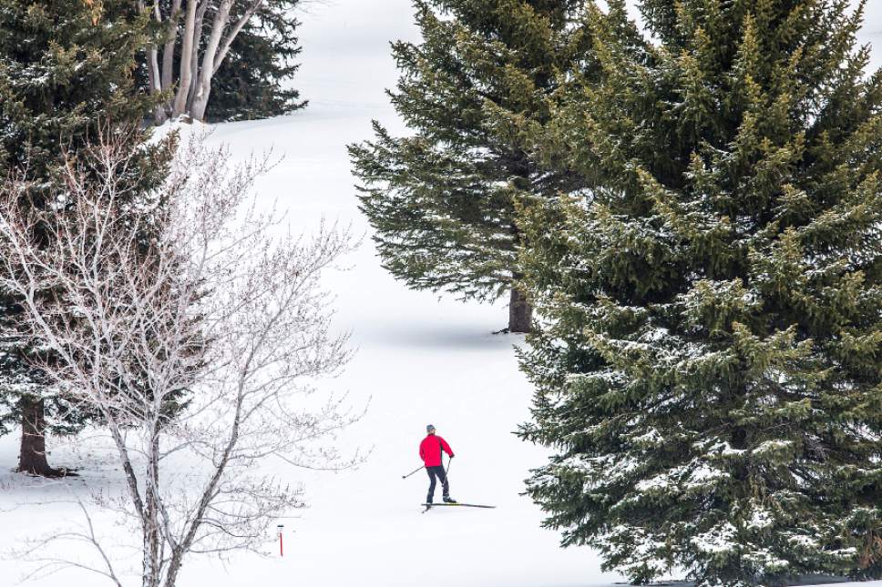 Chris Detrick  |  The Salt Lake Tribune
A man cross-country skis at Mountain Dell Saturday January 7, 2017.