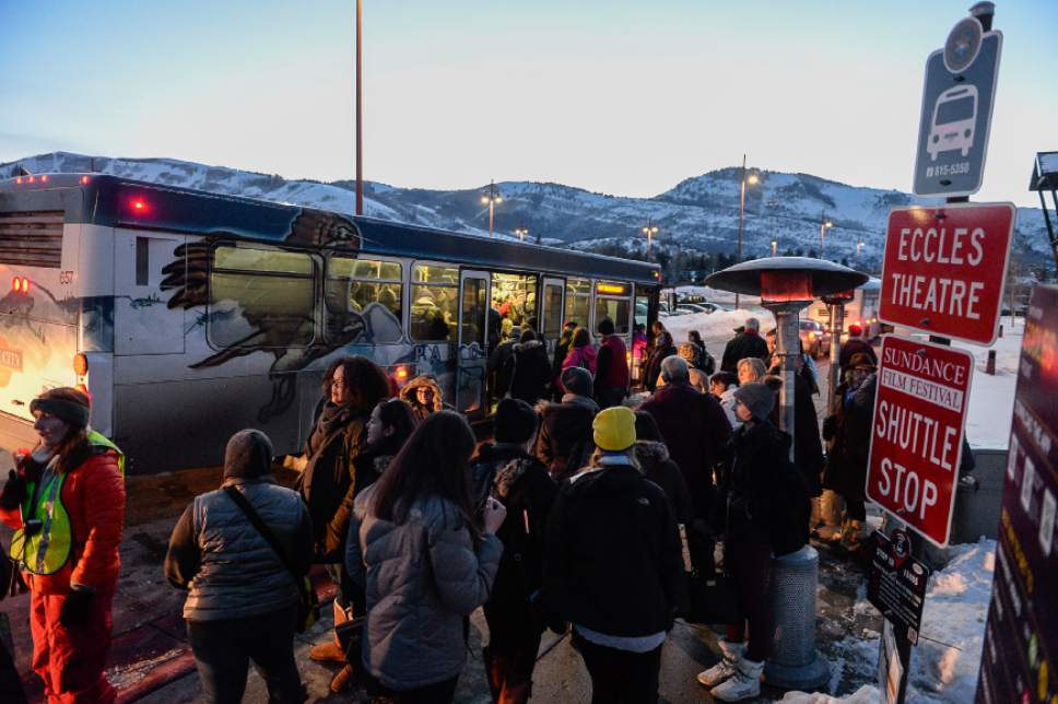 Francisco Kjolseth | The Salt Lake Tribune
As the crowds descend on Park City for the Sundance Film Festival, buses keep a steady rotation to move the masses. Transit agencies in Park City and Logan do not charge fares.