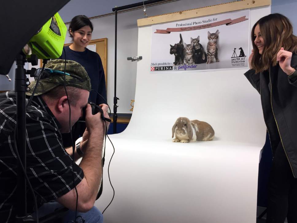 sandy animal shelter