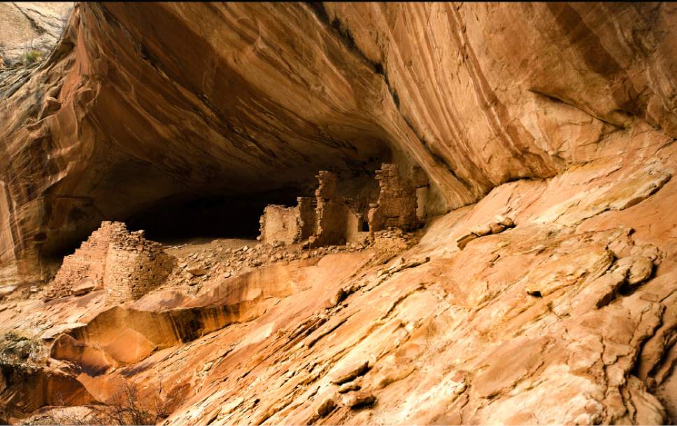 Rick Egan  |  The Salt Lake Tribune

Monarch Cave, in the Butler Wash, near where Mary Benally spent a year of her childhood east of Comb Ridge in Bears Ears National Monument. Thursday, January 12, 2017.