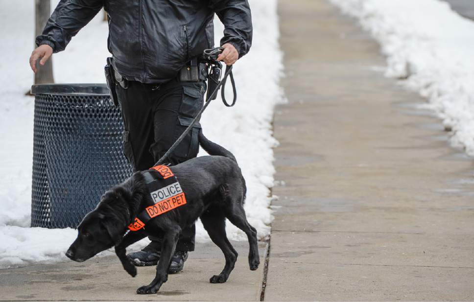 Francisco Kjolseth | The Salt Lake Tribune
Police respond to a bomb threat at Highland High School in Salt Lake where students were evacuated on Monday, Jan. 23, 2017.